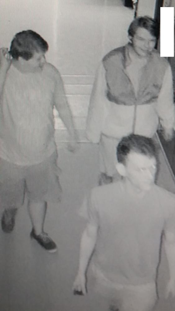 Three of the suspects on security footage.