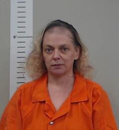 Mugshot of HARRIS, JULIE