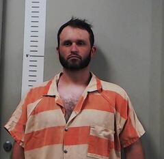 Mugshot of WILLIS, STETSON