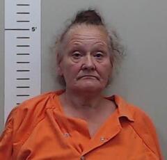 Mugshot of RODRIGUES, THERESA  