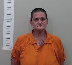Mugshot of DILLON, AMY