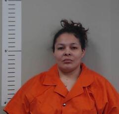 Mugshot of GOMEZ, YOLANDA  