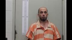 Mugshot of HUDSON, BRIAN