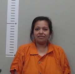 Mugshot of QUINTANILLA, JANIE