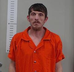 Mugshot of MIMS, BRANDON  